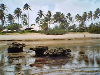 Praia do forte