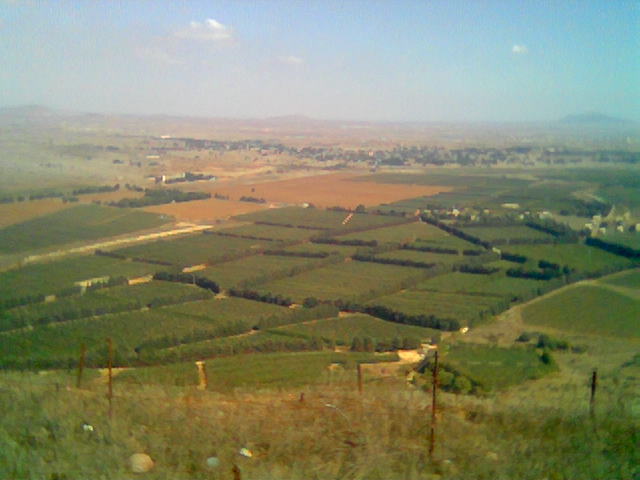 Golan