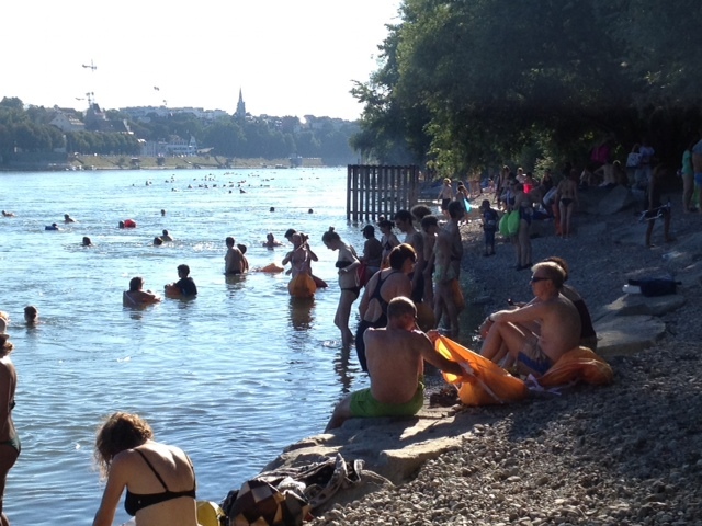 Rheinfoll
